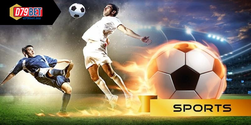 Nhà Cái Cá Cược Thể Thao D79bet - Kèo Cược Siêu Hấp Dẫn Tổng quan thông tin về nhà cái cá cược thể thao