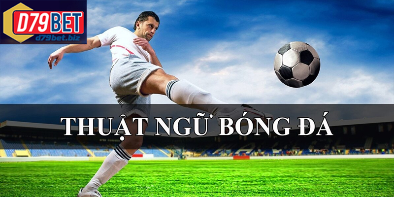 Hiểu Rõ Thuật Ngữ Bóng Đá Phổ Biến Tại D79BET Để Cá Cược Học nhanh các thuật ngữ bóng đá phổ biến trong bình luận thể thao
