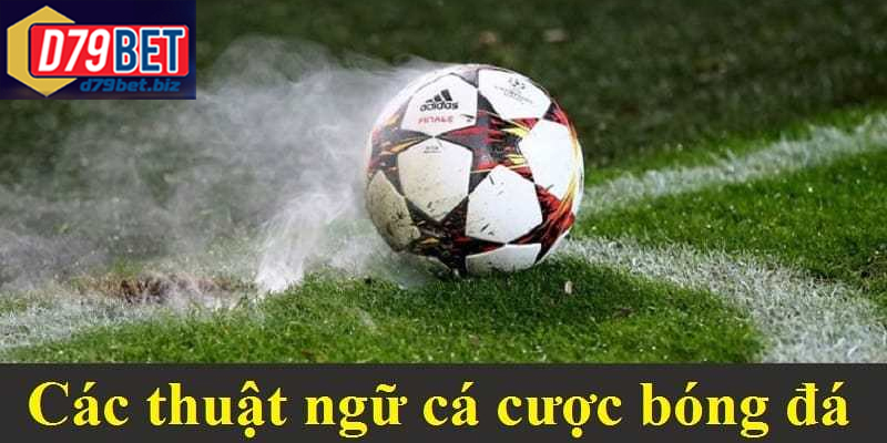 Hiểu Rõ Thuật Ngữ Bóng Đá Phổ Biến Tại D79BET Để Cá Cược Những thuật ngữ bóng đá phổ biến mà người hâm mộ nên biết