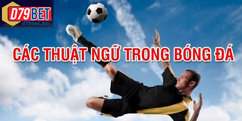 Hiểu Rõ Thuật Ngữ Bóng Đá Phổ Biến Tại D79BET Để Cá Cược Giải nghĩa các thuật ngữ bóng đá phổ biến nhất hiện nay