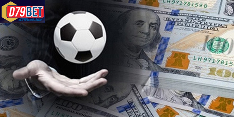 Nền Tảng Cá Cược Bóng Đá D79BET Uy Tín Dành Cho Cược Thủ Cá cược bóng đá online an toàn cùng nhà cái uy tín hàng đầu
