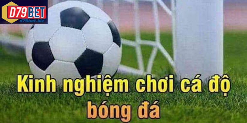 Hướng Dẫn Cách Cá Độ Bóng Đá Hiệu Quả Tại D79BET Bí quyết và cách cá độ bóng đá từ các cao thủ lâu năm chia sẻ