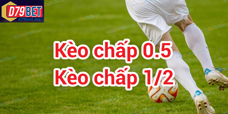 Hiểu Đúng Kèo Chấp 1/2 D79BET Và Cách Chơi Để Thắng Lớn Kèo chấp 1/2 là gì và cách chơi hiệu quả cho người mới bắt đầu