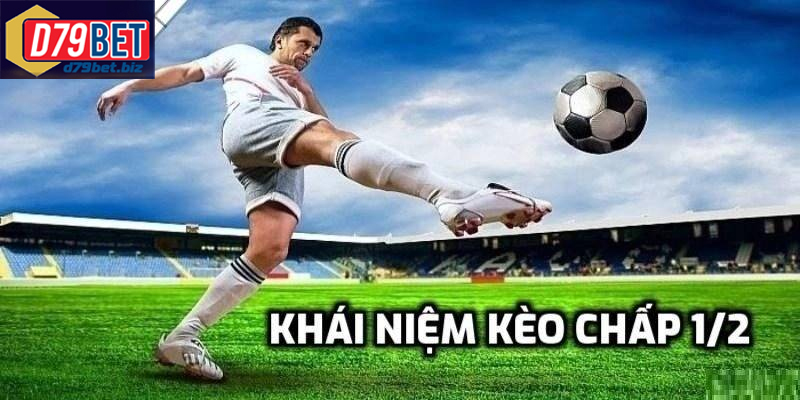 Hiểu Đúng Kèo Chấp 1/2 D79BET Và Cách Chơi Để Thắng Lớn Kinh nghiệm soi kèo chấp 1/2 giúp tăng tỷ lệ thắng trong cá cược