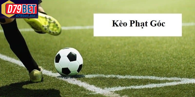 Kèo Phạt Góc Là Gì D79BET – Cách Chơi Kèo Góc Hiệu Quả Kinh nghiệm chơi kèo phạt góc giúp bạn hạn chế rủi ro khi đặt cược