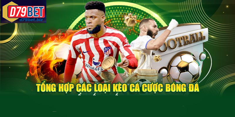 Bí Quyết Soi Kèo Cá Cược Bóng Đá Tại D79BET Để Thắng Cược Tìm hiểu cách soi kèo cá cược bóng đá dành cho người mới chơi