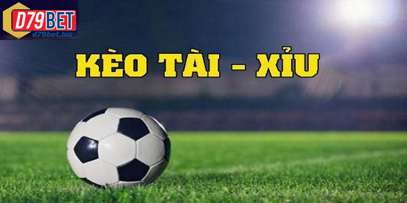Tham Gia Tài Xỉu Bóng Đá Tại D79BET Dễ Chơi Và Dễ Thắng Tài xỉu bóng đá là gì và cách chơi chi tiết cho người mới bắt đầu