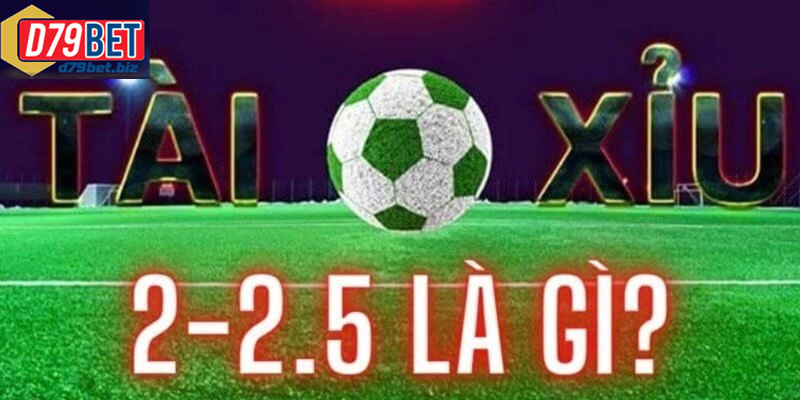 Tham Gia Tài Xỉu Bóng Đá Tại D79BET Dễ Chơi Và Dễ Thắng Cách tính kèo tài xỉu bóng đá chuẩn xác giúp tránh nhầm lẫn khi cược