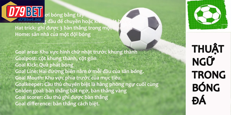 Tìm Hiểu Các Thuật Ngữ Bóng Đá Tại D79BET Để Chơi Cá Cược Giải thích thuật ngữ bóng đá giúp người chơi hiểu kèo nhanh hơn
