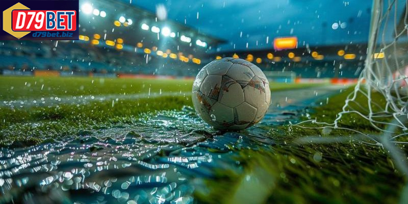 Tìm Hiểu Các Thuật Ngữ Bóng Đá Tại D79BET Để Chơi Cá Cược Thuật ngữ bóng đá cơ bản cần biết dành cho người mới bắt đầu