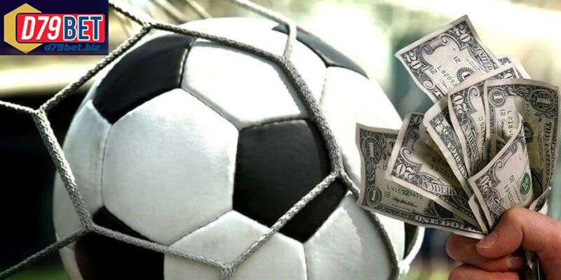 Trang Cá Cược Bóng Đá D79BET – Điểm Đến Của Các Cược Thủ Trang cá cược bóng đá uy tín hỗ trợ người chơi 24 giờ mỗi ngày