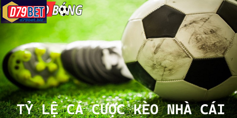 Tỷ Lệ Kèo Nhà Cái D79BET – Kèo Cá Cược Chính Xác Tìm hiểu tỷ lệ kèo nhà cái trước trận để tăng cơ hội chiến thắng