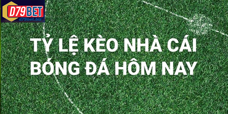 Tỷ Lệ Kèo Nhà Cái D79BET – Kèo Cá Cược Chính Xác Phân tích tỷ lệ kèo nhà cái giúp người chơi đặt cược hiệu quả hơn