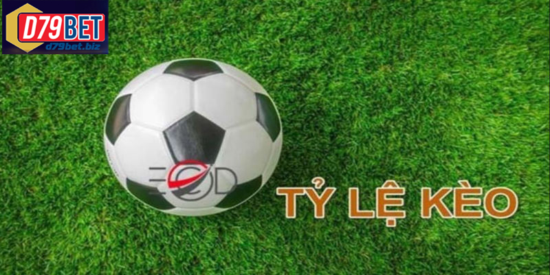 Cập Nhật Tỷ Lệ Kèo TV D79BET Nhanh Chóng Và Chính Xác Tỷ lệ kèo tv hỗ trợ người chơi phân tích và đặt cược dễ dàng
