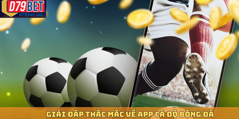 Trang Web Cá Độ Bóng Đá Tại D79BET Uy Tín Và Minh Bạch Chọn web cá độ bóng đá đáng tin cậy để nâng cao tỷ lệ thắng